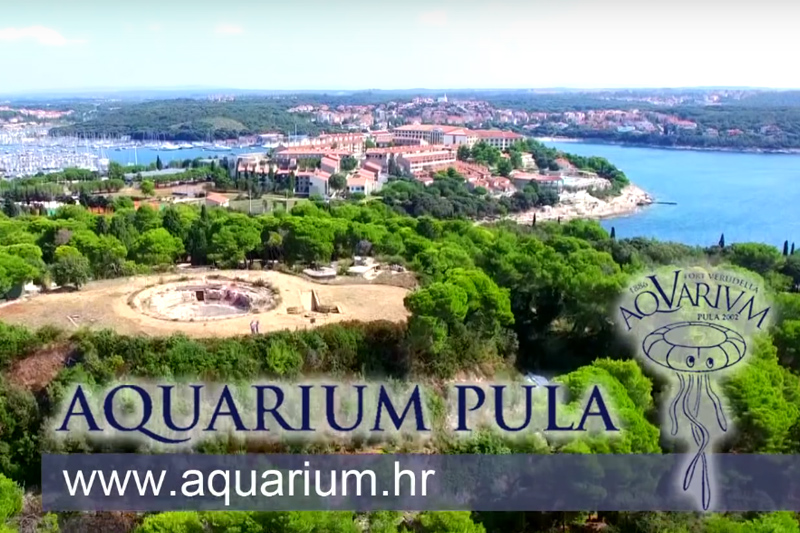 Video of the Pula Aquarium (by Aquarium Pula)